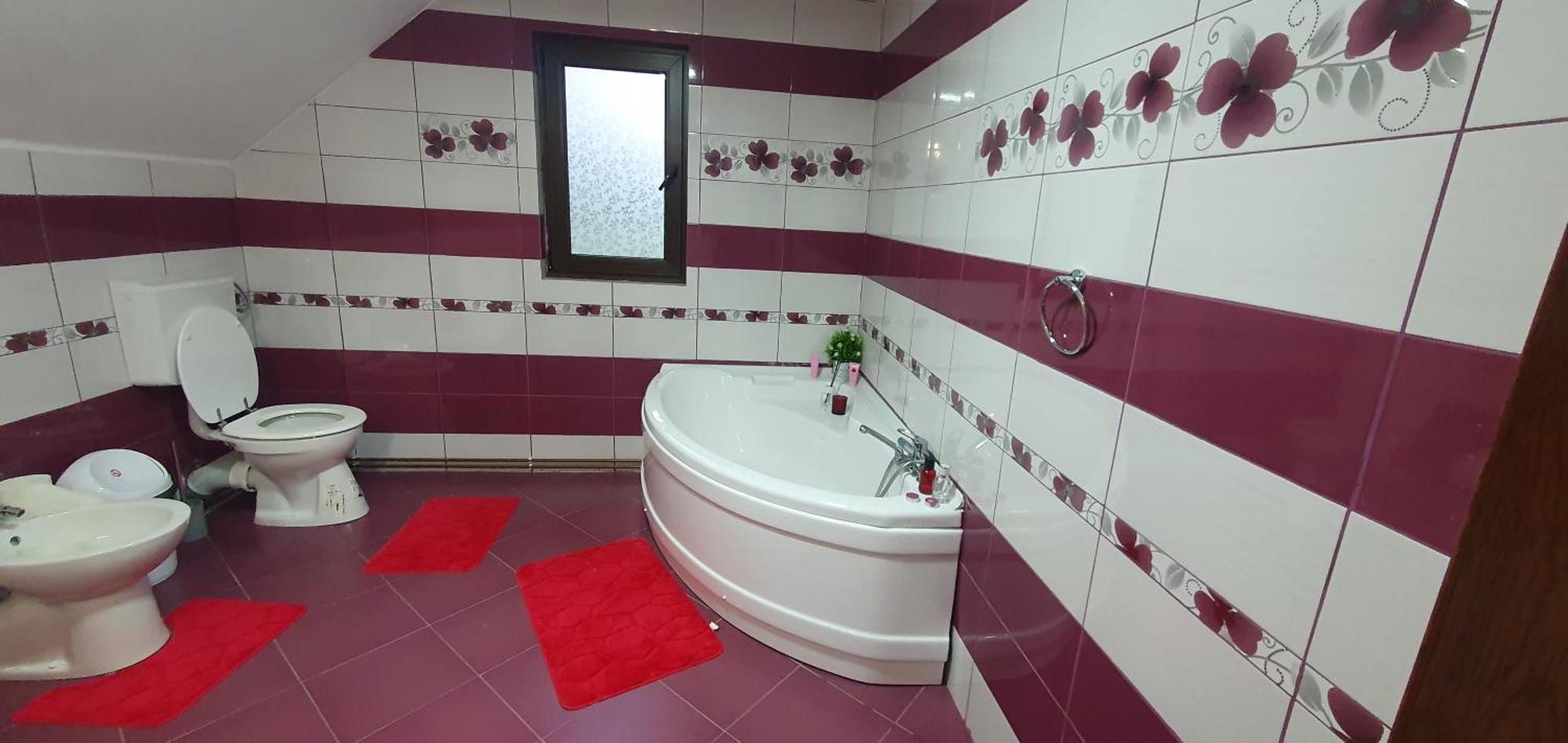 Casa Andrada Villa Horezu Bagian luar foto